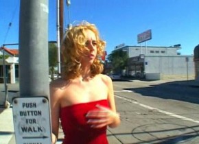 Alan Smithee's Street Walkers #2, Scene 2