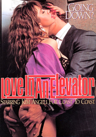 Love In An Elevator 